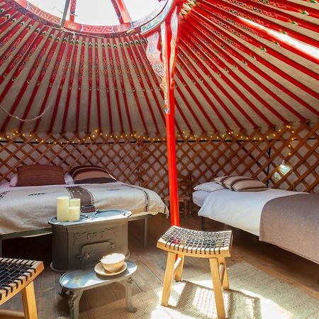 Hobo Camping Courmayeur Eksteriør bilde