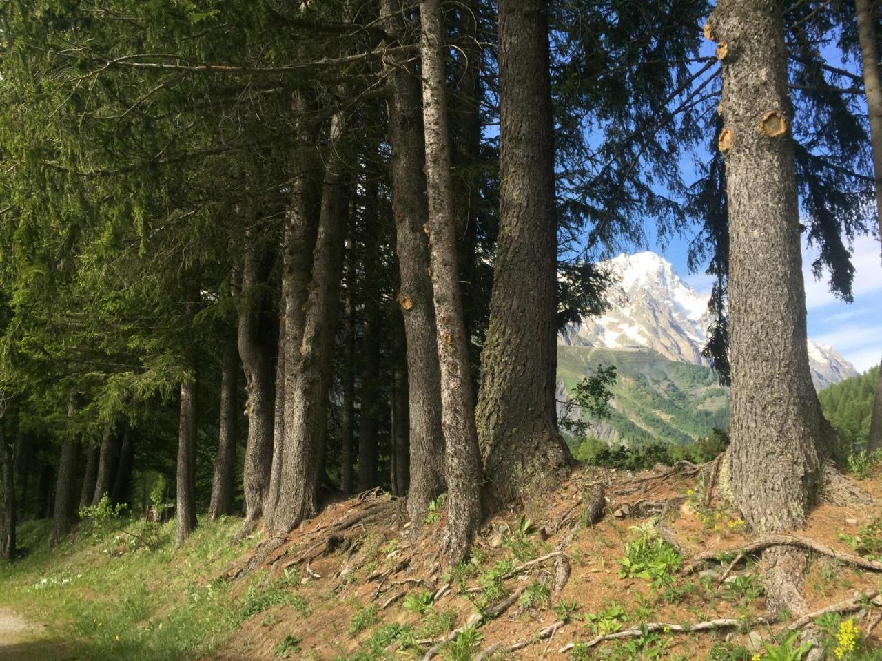 Hobo Camping Courmayeur Eksteriør bilde